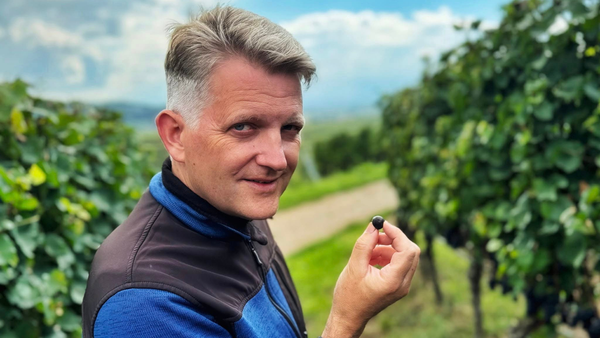 Derfor elsker vi Spätburgunder fra Johner i Baden