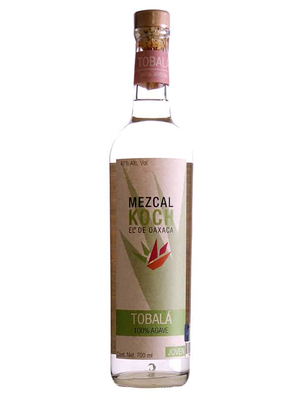 Tobala - Mezcal el Koch